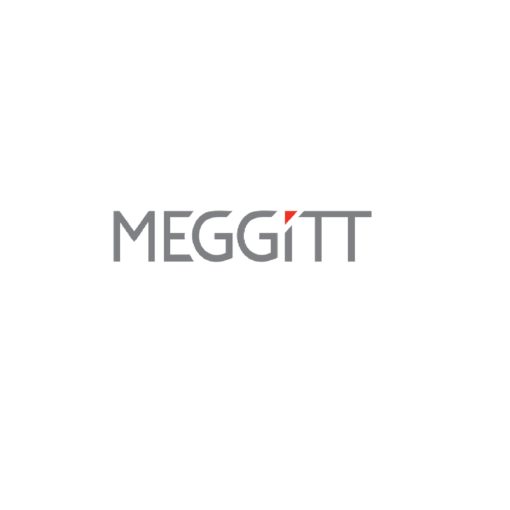 Meggitt (95411)